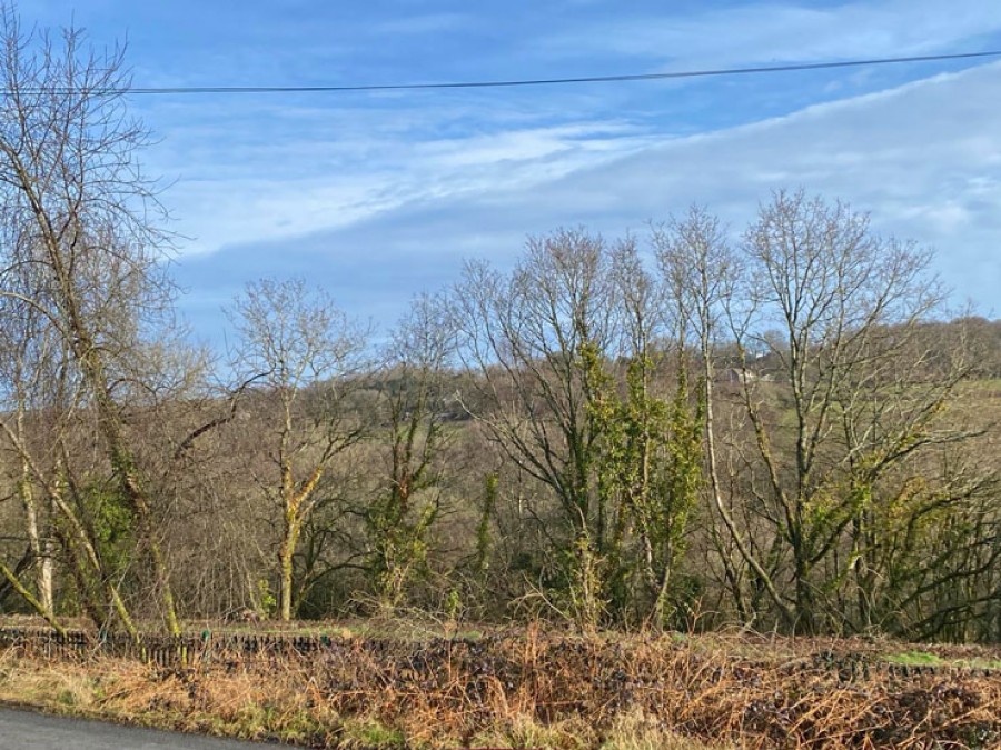Images for Brynavon Terrace, Hengoed, CF82 7NA EAID: BID:Ystrad-mynach-branch