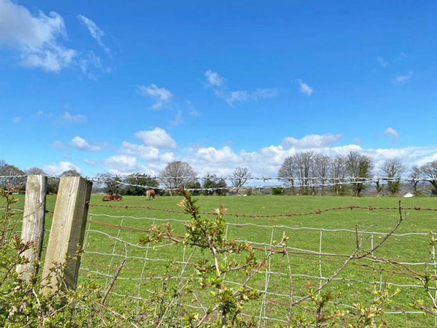 Images for Church Road, Gelligaer, Hengoed, CF82 8FW EAID: BID:Ystrad-mynach-branch