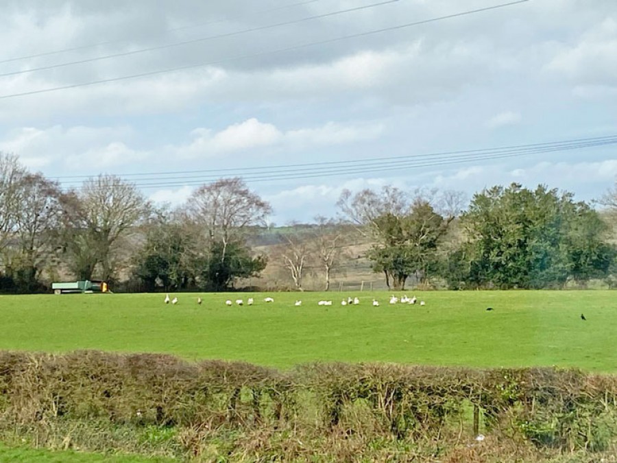 Images for Church Road, Gelligaer, Hengoed, CF82 8FW EAID: BID:Ystrad-mynach-branch