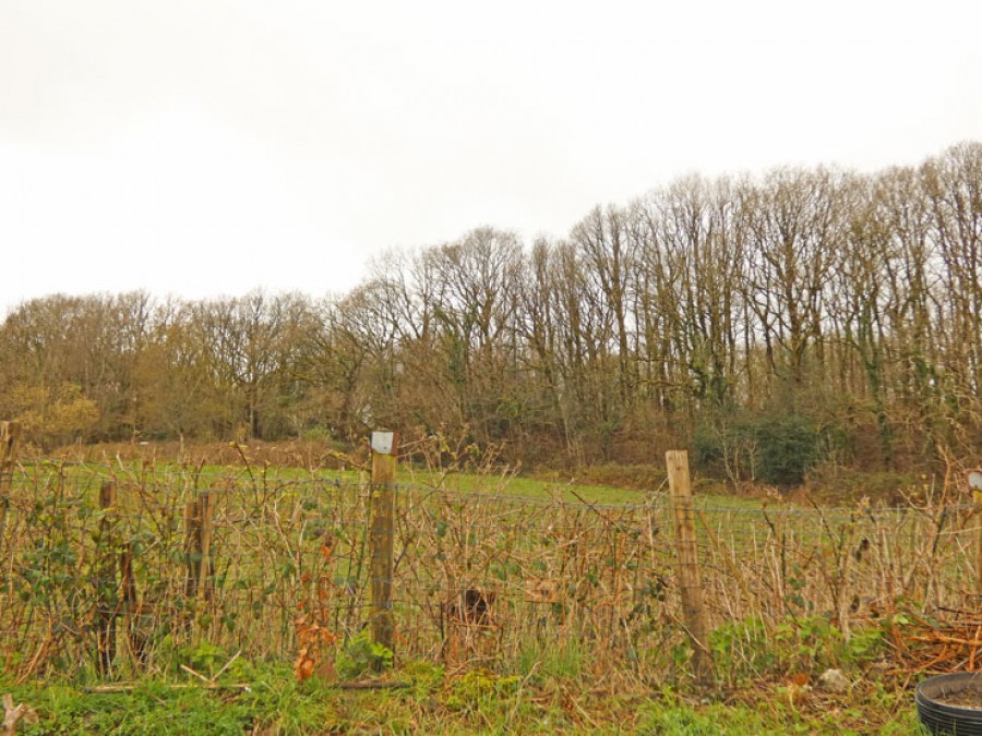 Images for Maesycoed Terrace, Ystrad Mynach, Hengoed, CF82 7BU EAID: BID:Ystrad-mynach-branch
