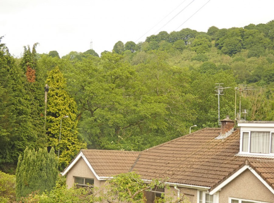 Images for Glyn Bedw, Llanbradach, Caerphilly, CF83 3PG EAID: BID:Ystrad-mynach-branch