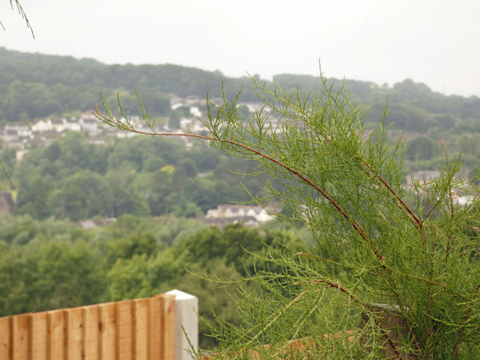 Images for Springfield Road, Maesycwmmer, Hengoed, CF82 7QP EAID: BID:Ystrad-mynach-branch