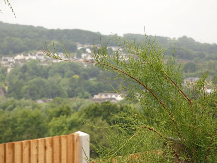 Images for Springfield Road, Maesycwmmer, Hengoed, CF82 7QP EAID: BID:Ystrad-mynach-branch