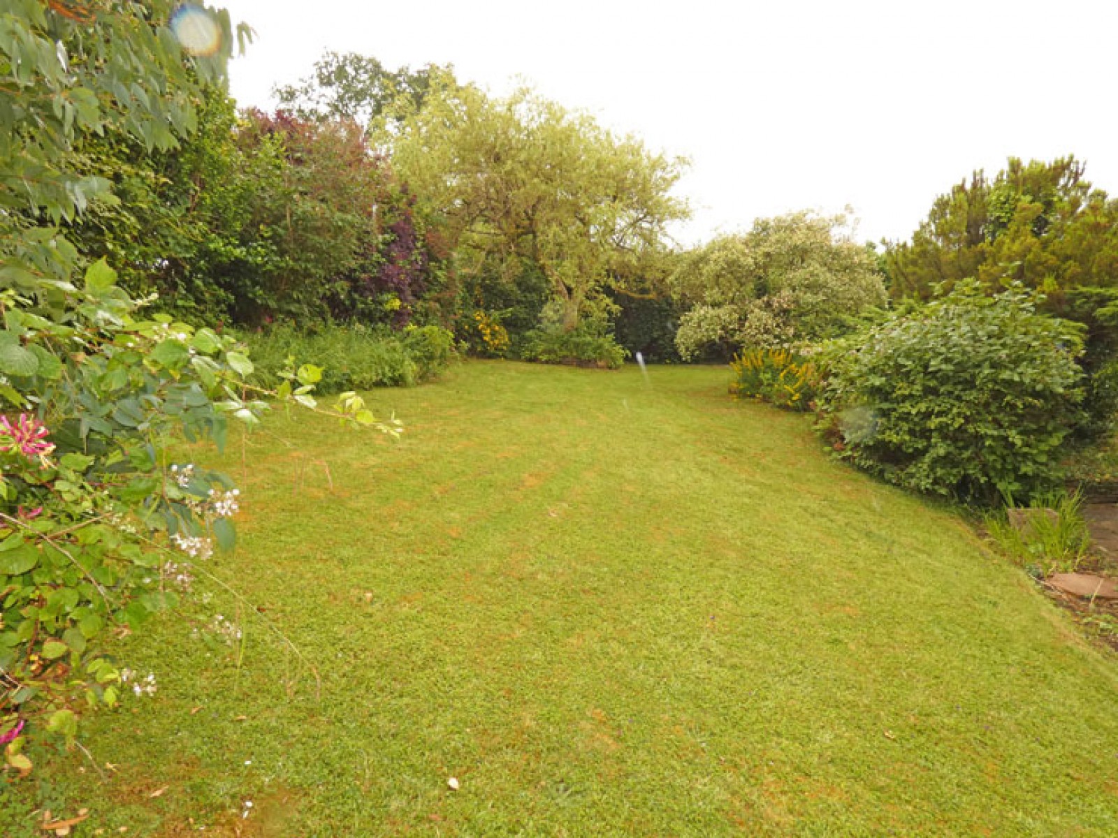 Images for Springfield Road, Maesycwmmer, Hengoed, CF82 7QP EAID: BID:Ystrad-mynach-branch