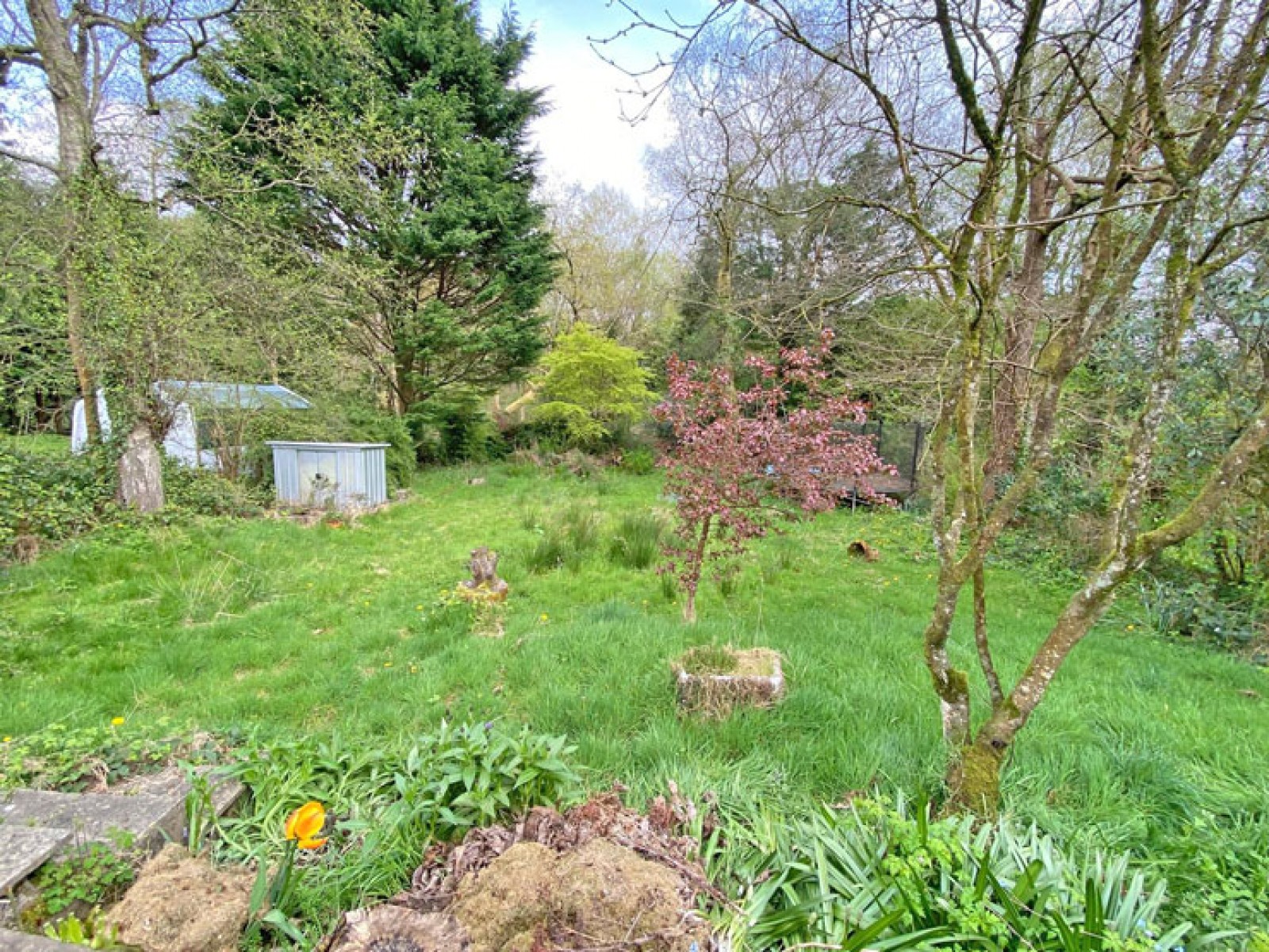 Images for Pen-y-Cae, Ystrad Mynach, Hengoed, CF82 7FA EAID: BID:Ystrad-mynach-branch