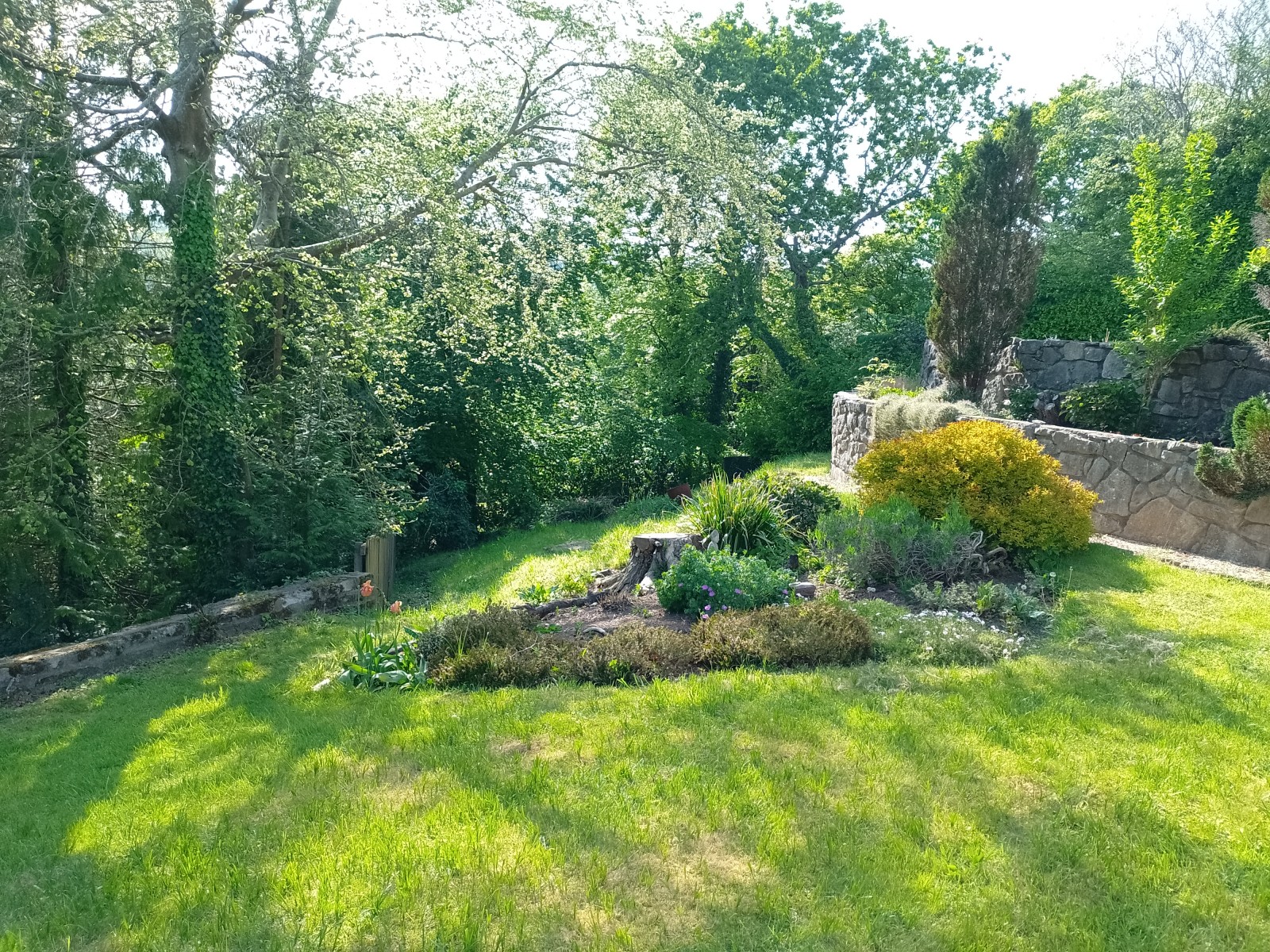 Images for Park Rd, Dinas Powys, CF64 4HJ EAID: BID:Dinas-powys-branch