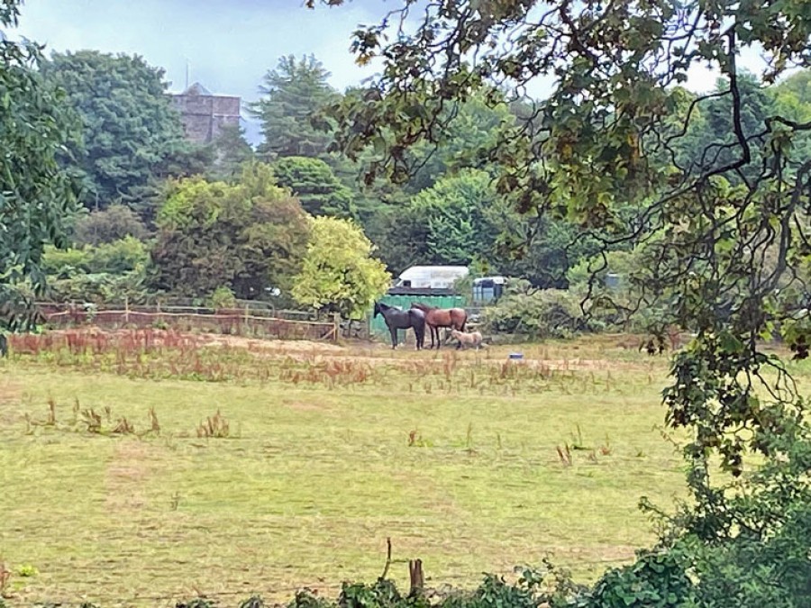 Images for Rectory Road, Gelligaer, Hengoed, CF82 8FX EAID: BID:Ystrad-mynach-branch