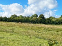 Images for Rhosili Road, Cefn Hengoed, Hengoed, CF82 7JE