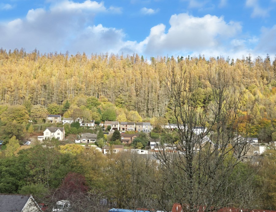 Images for Cefn Road Upper, Deri, Bargoed, CF81 9GW EAID: BID:Ystrad-mynach-branch