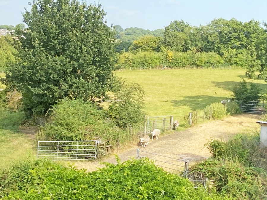 Images for Llanfabon Road, Nelson, Treharris, CF46 6PF EAID: BID:Ystrad-mynach-branch