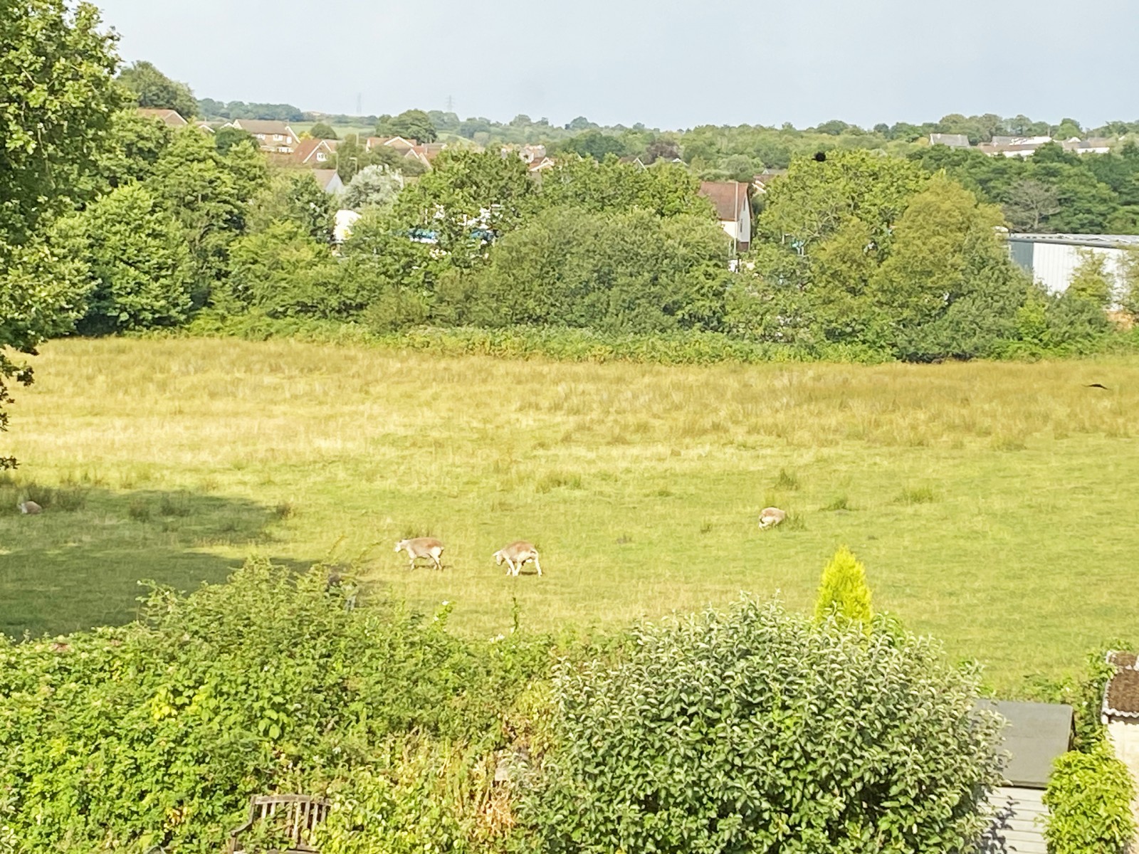 Images for Llanfabon Road, Nelson, Treharris, CF46 6PF EAID: BID:Ystrad-mynach-branch