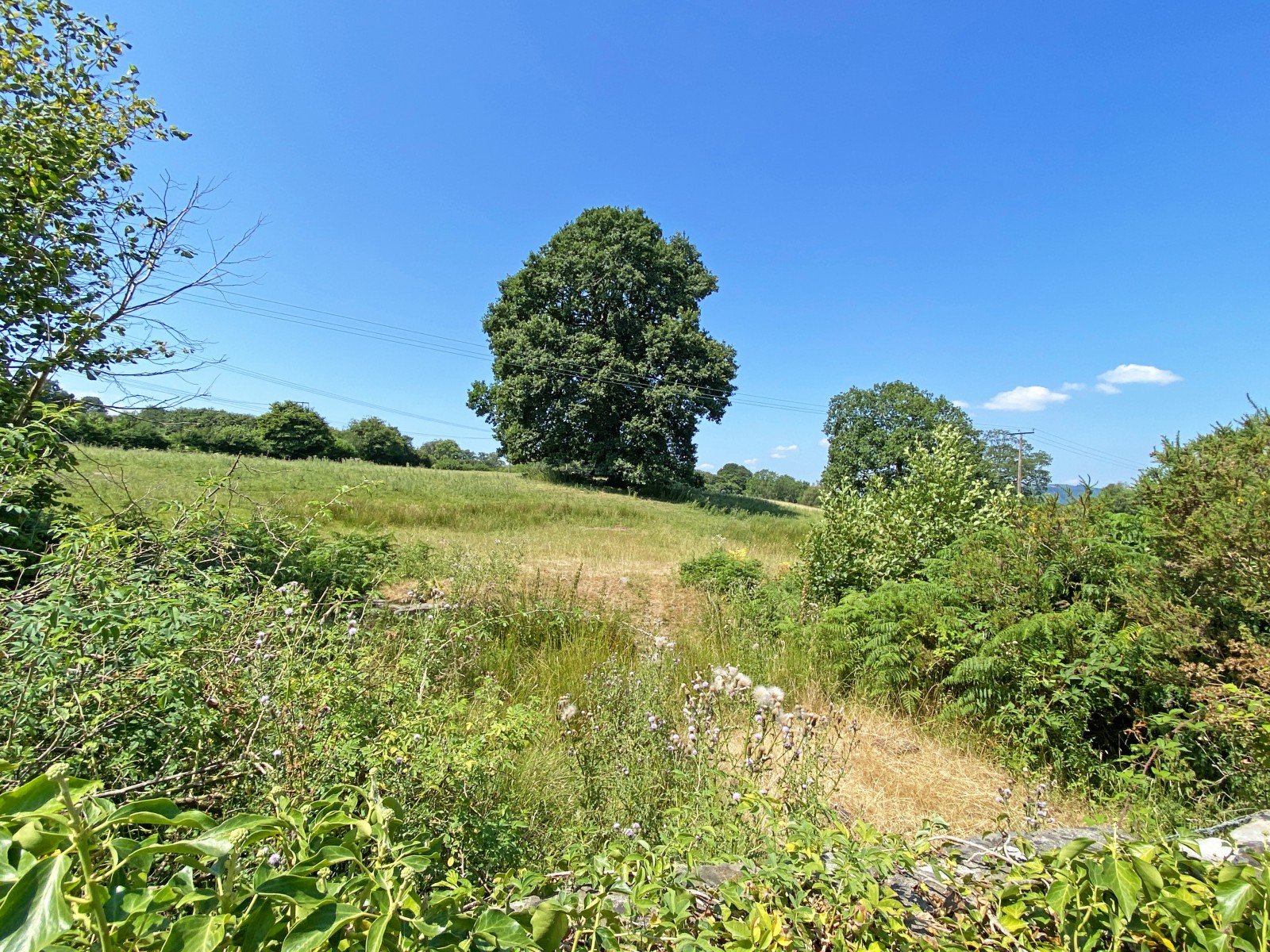Images for Llanfabon Road, Nelson, Treharris, CF46 6PF EAID: BID:Ystrad-mynach-branch