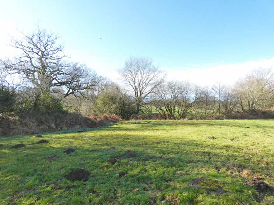 Images for Swn Y Nant, Duffryn Park, Pen-Pedair-Heol, Hengoed, CF82 8HA EAID: BID:Ystrad-mynach-branch