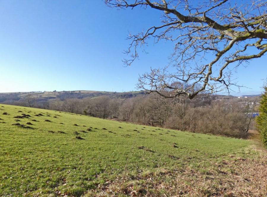 Images for Springfield Road, Maesycwmmer, Hengoed, CF82 7QP EAID: BID:Ystrad-mynach-branch
