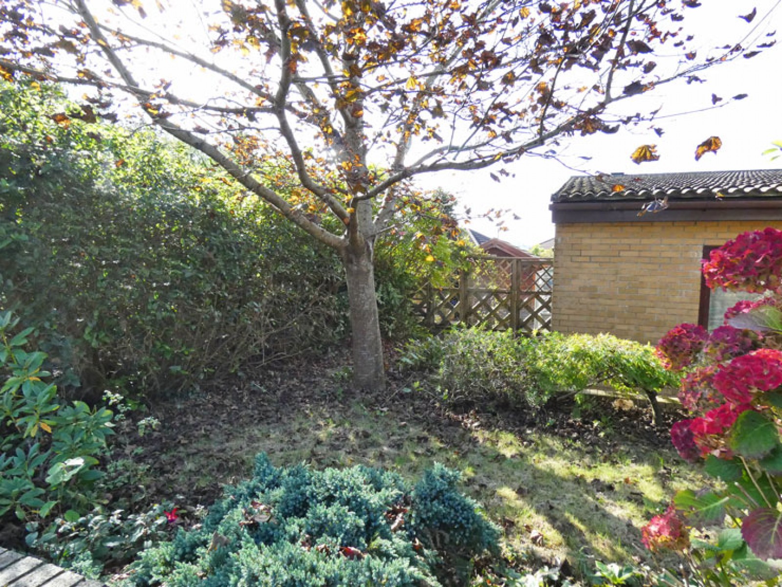 Images for Dan Y Coed, Cefn Hengoed, Hengoed, CF82 7LP EAID: BID:Ystrad-mynach-branch