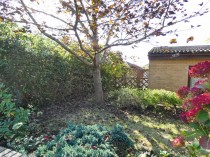 Images for Dan Y Coed, Cefn Hengoed, Hengoed, CF82 7LP