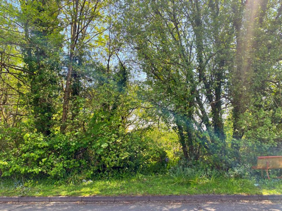Images for Hillside View, Bargoed, CF81 8PR EAID: BID:Ystrad-mynach-branch