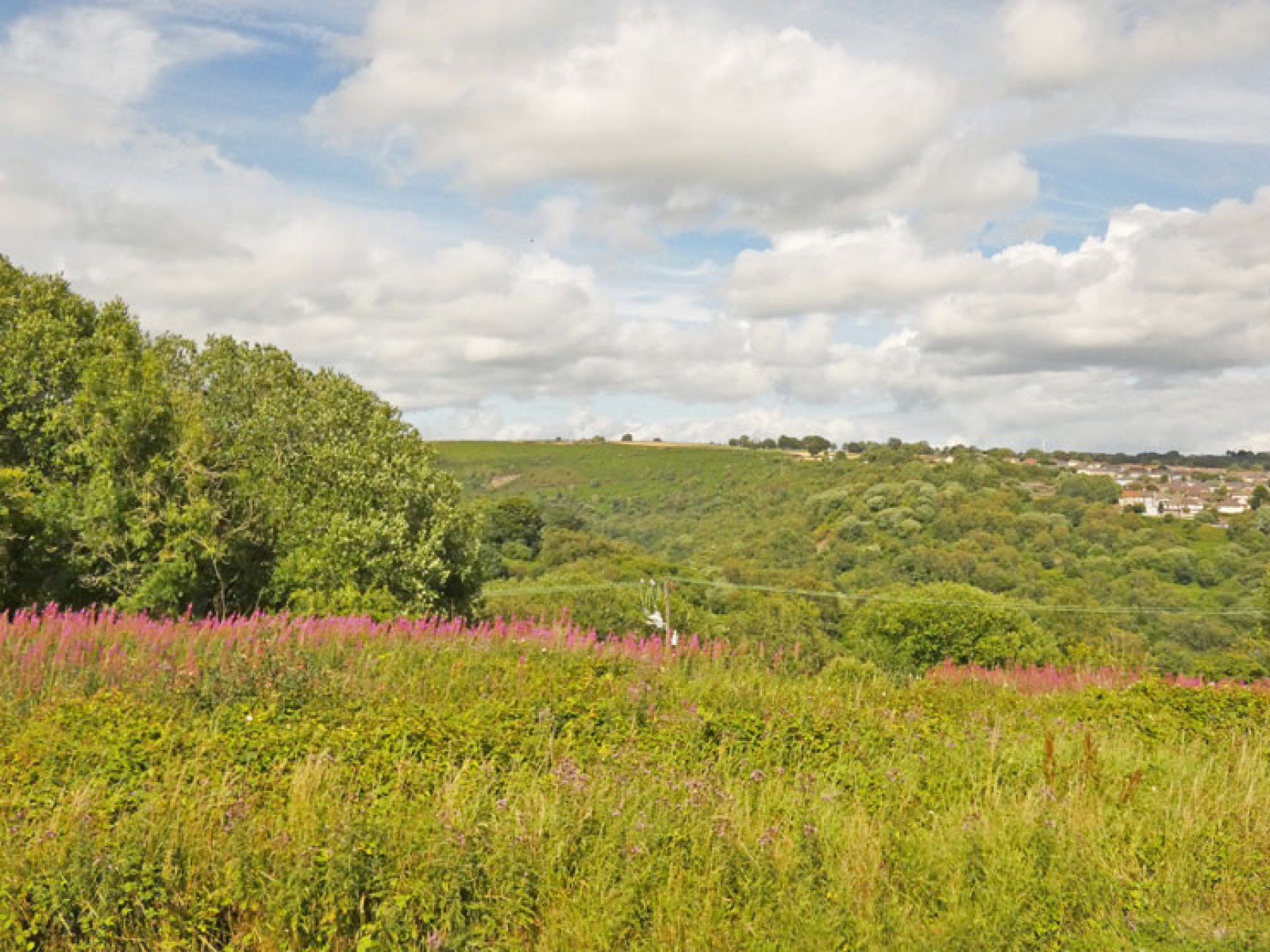 Images for Llancayo Park, Bargoed, CF81 8TS EAID: BID:Ystrad-mynach-branch
