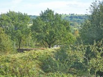 Images for Brynview Avenue, Ystrad Mynach, Hengoed, CF82 7DB