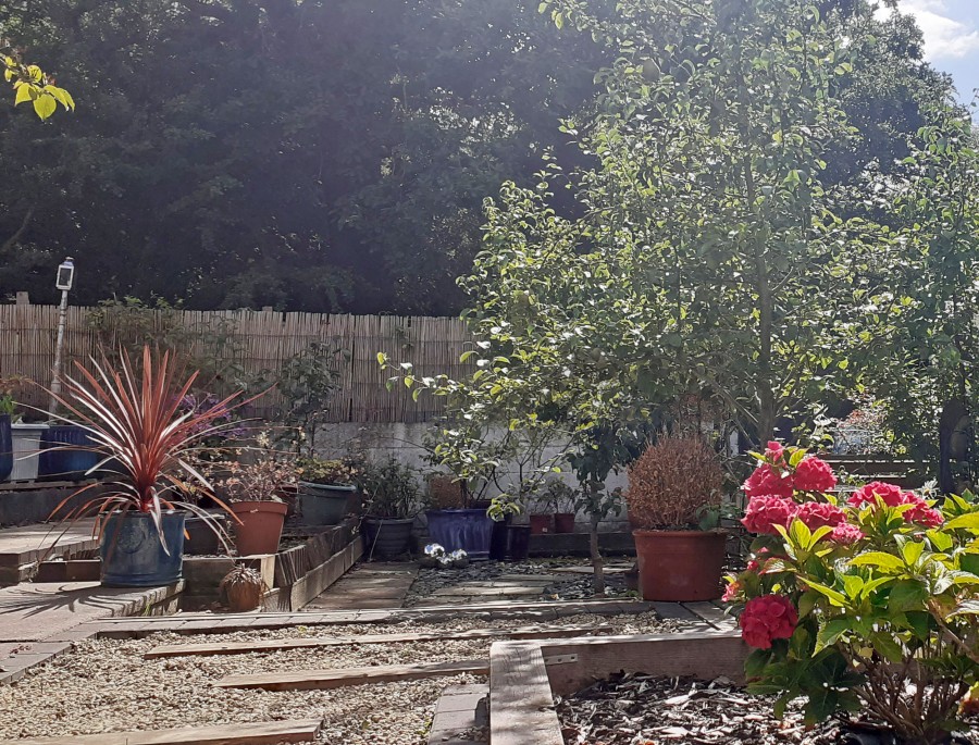 Images for St. Annes Gardens, Maesycwmmer, Hengoed, CF82 7QQ EAID: BID:Ystrad-mynach-branch