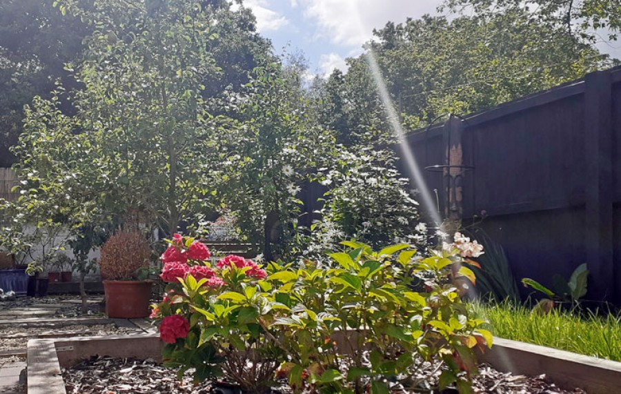 Images for St. Annes Gardens, Maesycwmmer, Hengoed, CF82 7QQ EAID: BID:Ystrad-mynach-branch