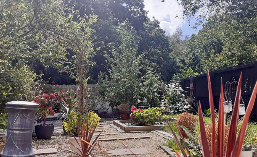 Images for St. Annes Gardens, Maesycwmmer, Hengoed, CF82 7QQ EAID: BID:Ystrad-mynach-branch